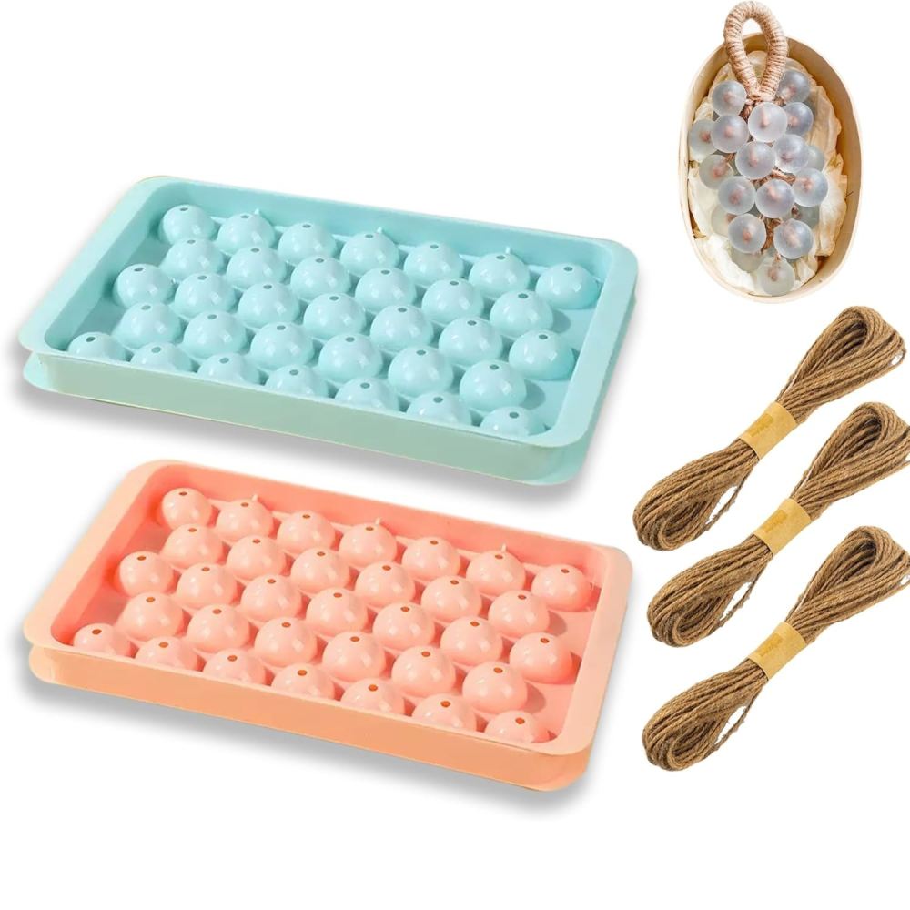 Moule à savon en forme de rais - Candle Making Kits avis et prix